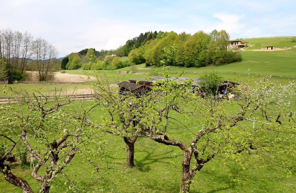 Familienparadies Reichenhauser Keutschach am See Eksteriør billede